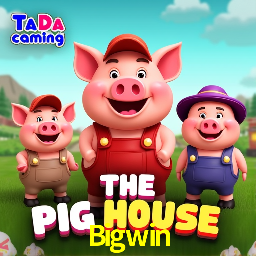 Experimente o Login Seguro Premium no Bigwin